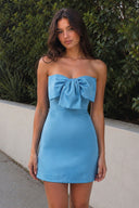 Blue Sheath Strapless Short Homecoming Dresses With Bow | SHEISME