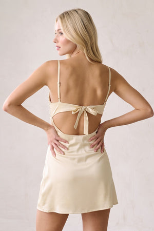 Champagne Spaghetti Straps Sheath Rhinestones Satin Homecoming Dress with Tie Back (4) | SHEISME
