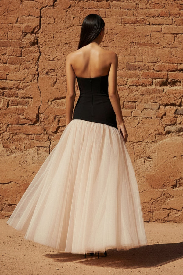 Corset Gown in Black and Beige - SHE IS ME PROM DRESSES