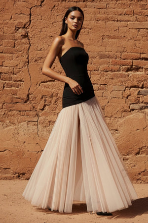 Corset Gown in Black and Beige - SHE IS ME PROM DRESSES