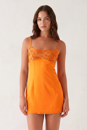 Orange / 00