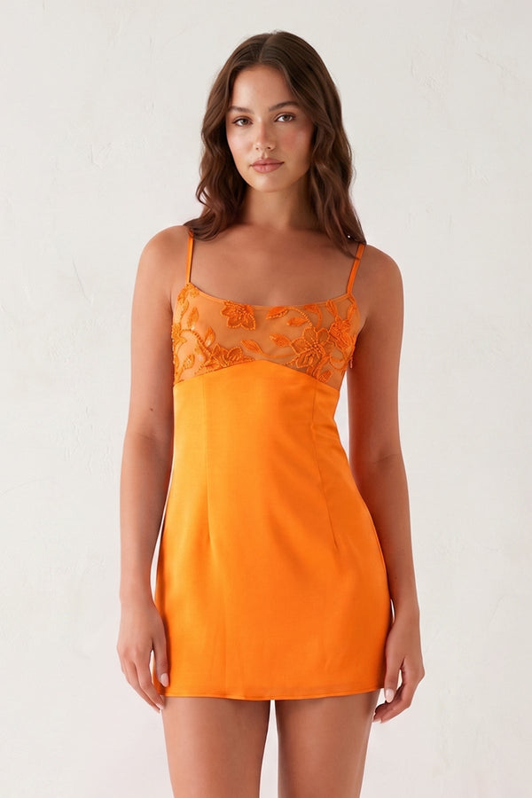 Orange / 00