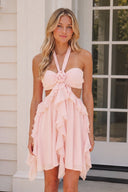 Blush Halter Ruffled A-Line Cut-Out Chiffon Homecoming Dress with 3D Flower | SHEISME