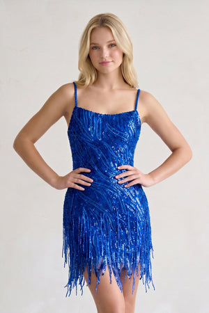 Royal Blue / 00