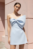 Strapless Bow Mini Dress in Sky Blue - SHE IS ME