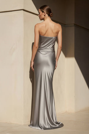 Strapless Pleated Maxi Dress in Silver - SHE IS ME
