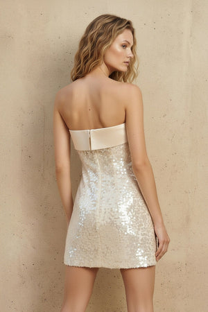 Strapless Satin - Trim Sequins Mini Dress in Champagne - SHE IS ME