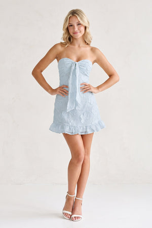 Blue Sweetheart Embroidered Tulle Ruffled A-Line Homecoming Dress (3) | SHEISME