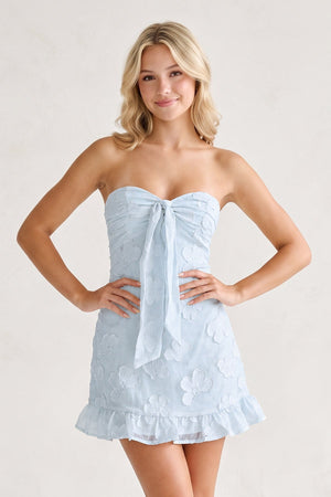 Blue Sweetheart Embroidered Tulle Ruffled A-Line Homecoming Dress | SHEISME