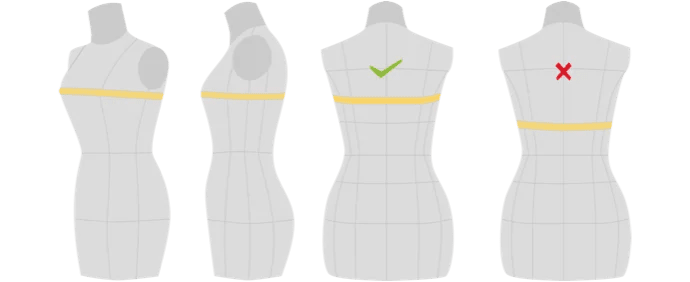 Bust size guide